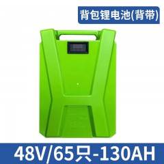 背包锂电池（背带） 48V/65只-130AH