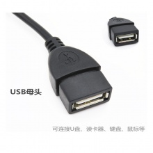 京华OTG线/T口转USB母口 汽车CD转接线